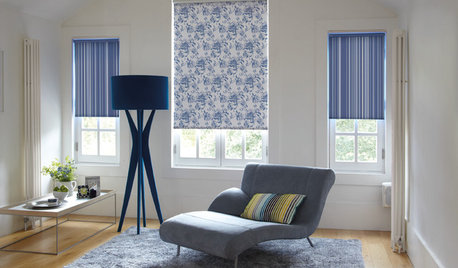 Which Window Blind is Right for You