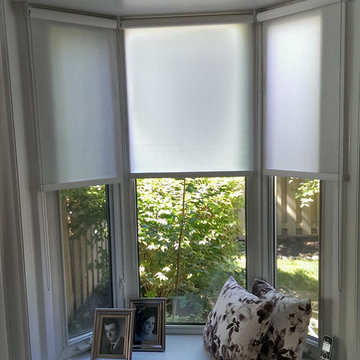 Roller shades in a Mississauga sitting room