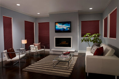 Design ideas for a contemporary living room in San Diego.
