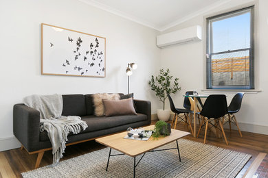 Modernes Wohnzimmer in Hobart