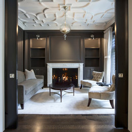 https://www.houzz.com/photos/salon-with-custom-plaster-ceiling-traditional-living-room-chicago-phvw-vp~356271