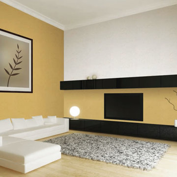 Satori Japanese Wall Finishes