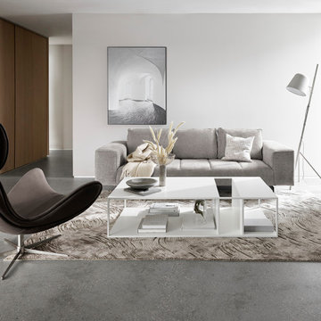 Scandinavian Style Living Rooms