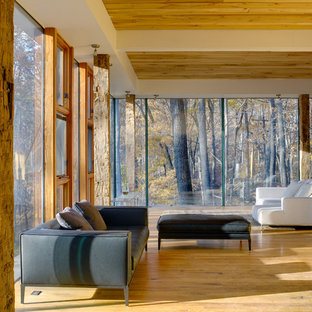 Minimalist medium tone wood floor living room photo in Cincinnati