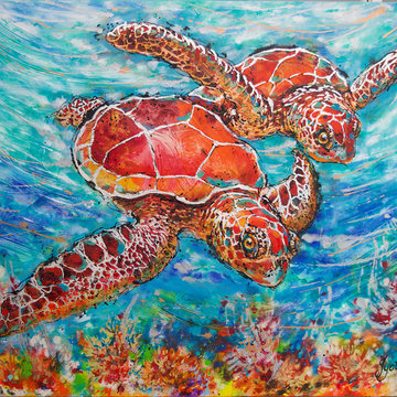 Sea Turtles on Coral Reef