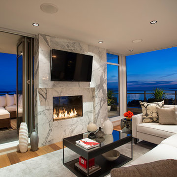 See Through Indoor Outdoor Gas Fireplace