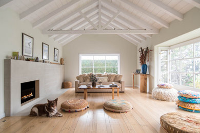 Living room - mid-sized scandinavian living room idea in Los Angeles
