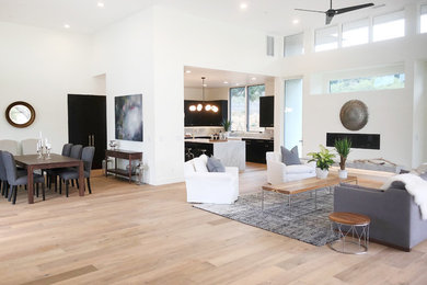 Design ideas for a contemporary living room in Santa Barbara.