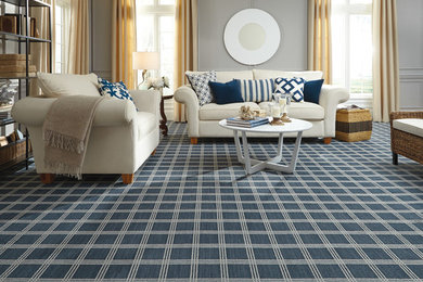 Mid-sized transitional carpeted and blue floor living room photo in Philadelphia with gray walls