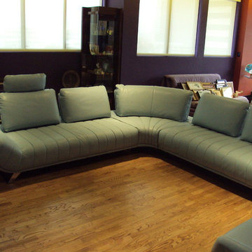Shelly Sectional