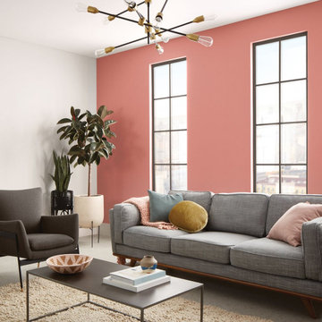Sherwin Williams Projects