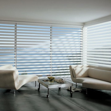 Silhouette Shades