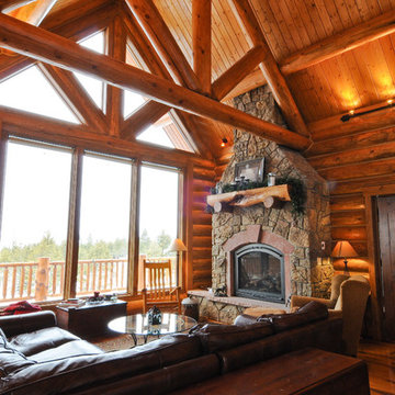 Silverthorne Hybrid Log Solar
