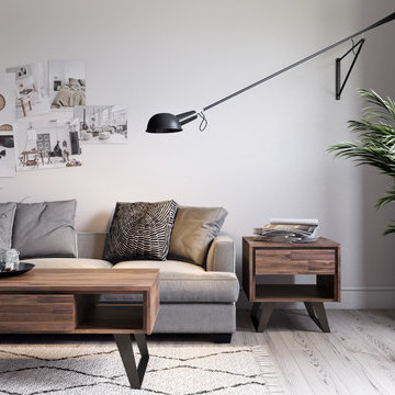 Simpli Home | Living Room