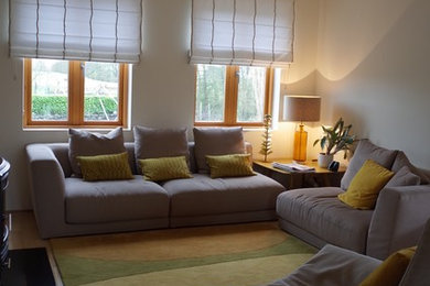Photo of a contemporary living room in Dublin.