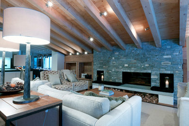Photo of a medium sized scandi living room in Other with carpet, a wood burning stove and a stone fireplace surround.