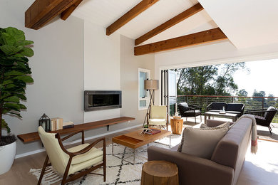 Inspiration for a contemporary open concept light wood floor living room remodel in San Francisco with gray walls, a ribbon fireplace and a metal fireplace