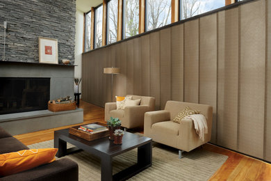 Living room - modern living room idea in Dallas