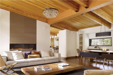 Example of a minimalist living room design in San Francisco