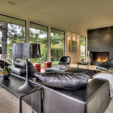 Sleek Modern Living Room