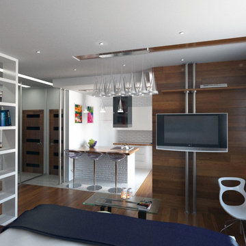 Small apartment (studio) interior design
