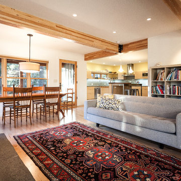 Snow County Cabin Remodel & Addition