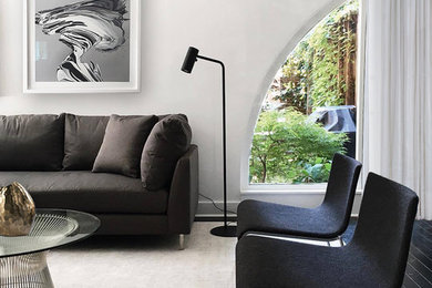 Foto di un grande soggiorno contemporaneo chiuso con pareti bianche, parquet scuro e pavimento nero