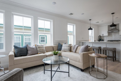 Living room - living room idea in Boston