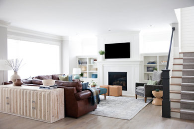 Living room - transitional living room idea in Minneapolis