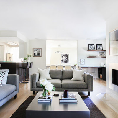 Small danish formal and open concept light wood floor living room photo in Los Angeles with white walls, a ribbon fireplace and a metal fireplace