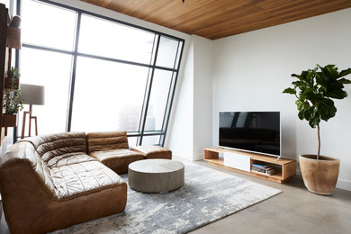 Foto de salón contemporáneo con paredes blancas, suelo de cemento, televisor independiente y suelo gris