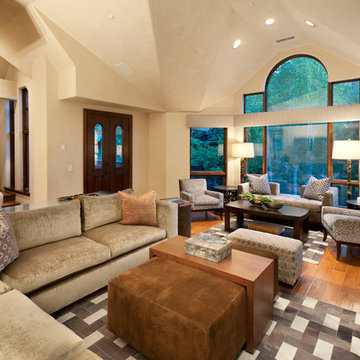 Spring Street Aspen Townhome Remodel
