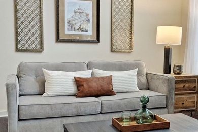 Transitional living room photo in Charlotte