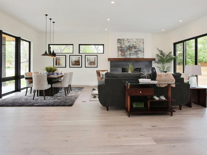 Contemporary Living Room