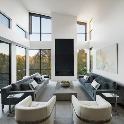 Mid-sized minimalist formal and open concept bamboo floor, gray floor and vaulted ceiling living room photo in Austin with gray walls, a ribbon fireplace, a stone fireplace and a wall-mounted tv