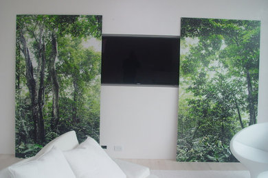 Stainless Steel Art Panels act as a TV Enclosure