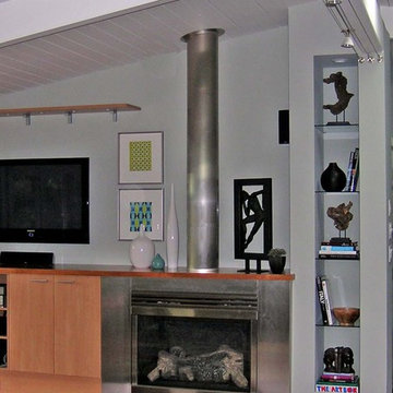 Stainless steel fireplace