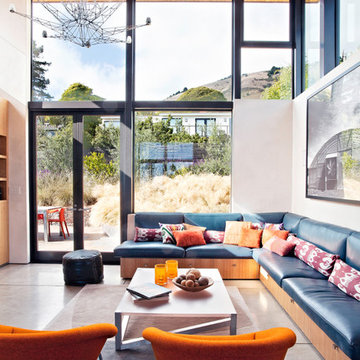 Stinson Beach House