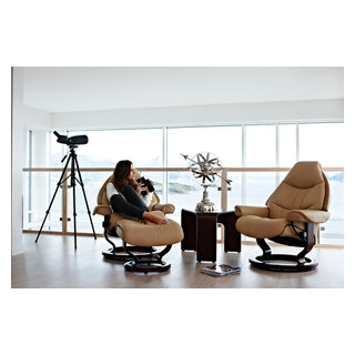 scan decor recliners