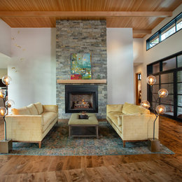 https://www.houzz.com/photos/suburban-contemporary-design-contemporary-living-room-phvw-vp~150519503