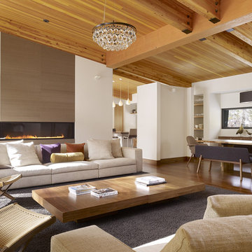 Sugar Bowl Residence - John Maniscalco Architecture