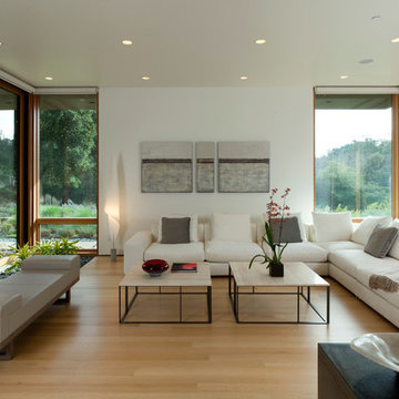 Sunol Modern Residence