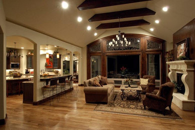 Living room - living room idea in Denver