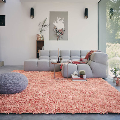 Modern Living Room by The Rug Seller