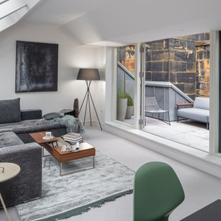 Inspiration for a medium sized contemporary open plan living room in Edinburgh with white walls, carpet, grey floors and a vaulted ceiling.