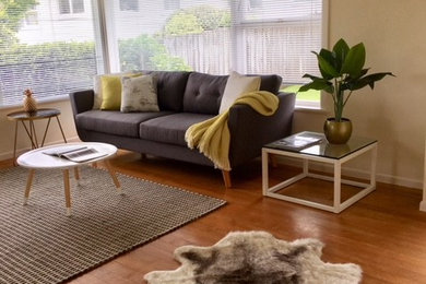 Photo of a contemporary living room in Auckland.