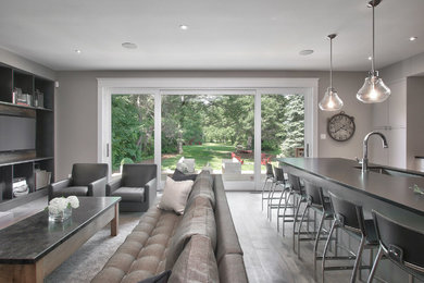 Living room - transitional living room idea in Toronto