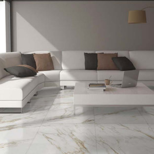 Floor Tiles Modern Living Room Houzz