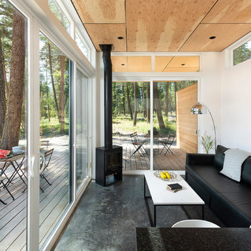 Tiny Houses in the Woods