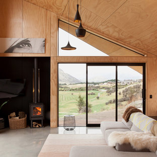 Living room - small scandinavian open concept concrete floor living room idea in Dunedin with a wood stove